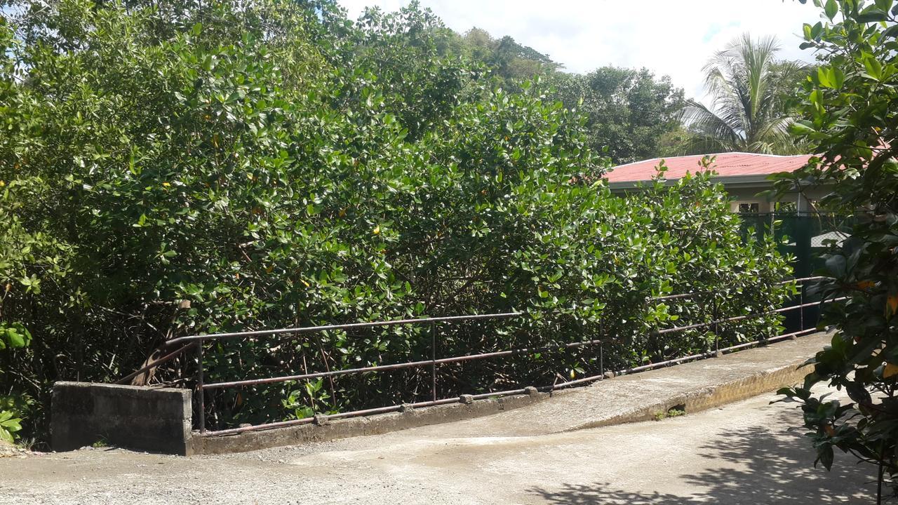 Sueno Tranquilo Hotel Quepos Exterior photo
